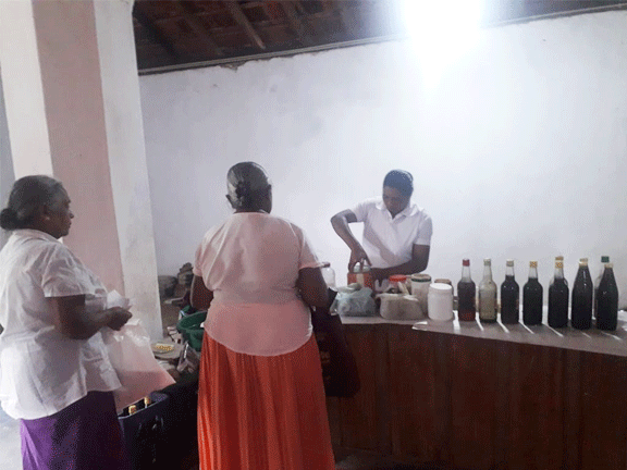 Ayurvedic mobile clinic godamunna