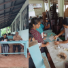 Ayurvedic mobile clinic