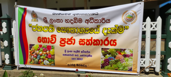Hadabima Tree Plantation  program 2021.12.01