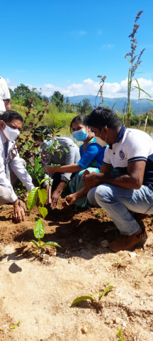 Hadabima Tree Plantation  program 2021.12.01