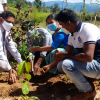 Hadabima Tree Plantation  program 2021.12.01