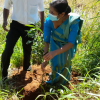 Hadabima Tree Plantation  program 2021.12.01