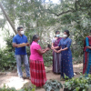 samurdhi plant donation