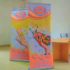 Arts Training Program