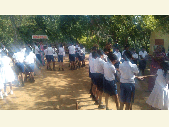 awareness program haputhale