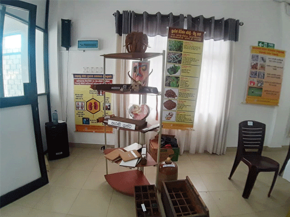 Ayurvedic Medicine Exhibition2023