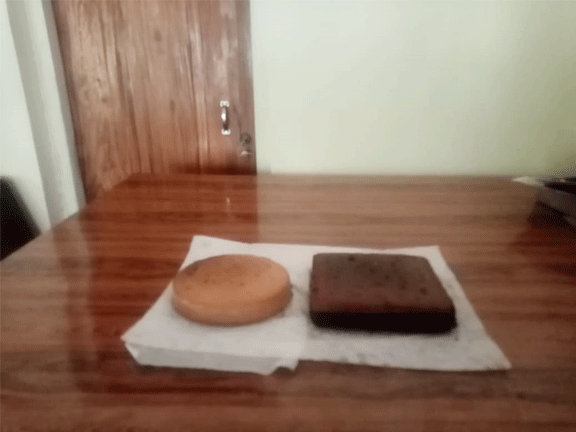 cake training program ankelipitiya