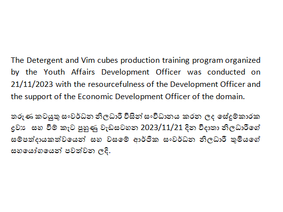 Detergent and Vim cubes production training program 