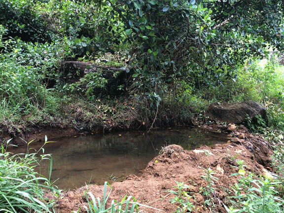 Field survey of Igurugolla water catchment area