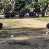 football training