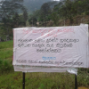 Hanthaha Fruit plantation