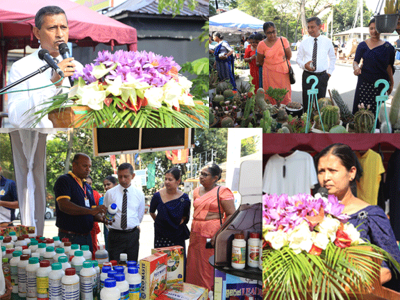 Hewaheta Expo 2024 event