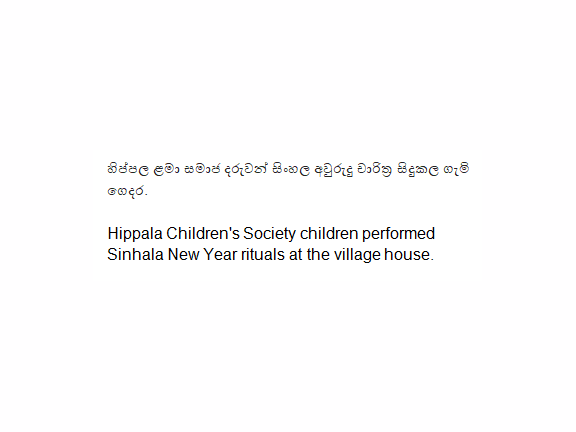 hippola new year