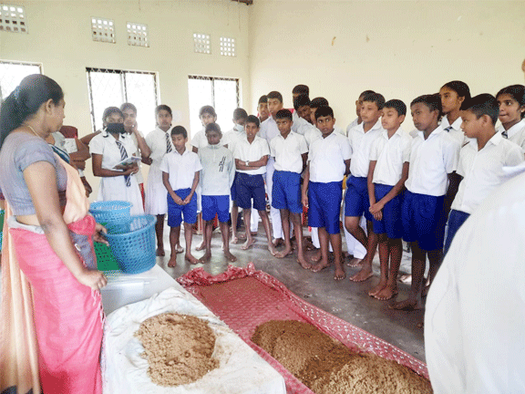 mushroom training program bootawatha school
