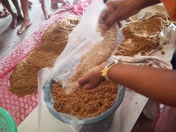 mushroom training program bootawatha school