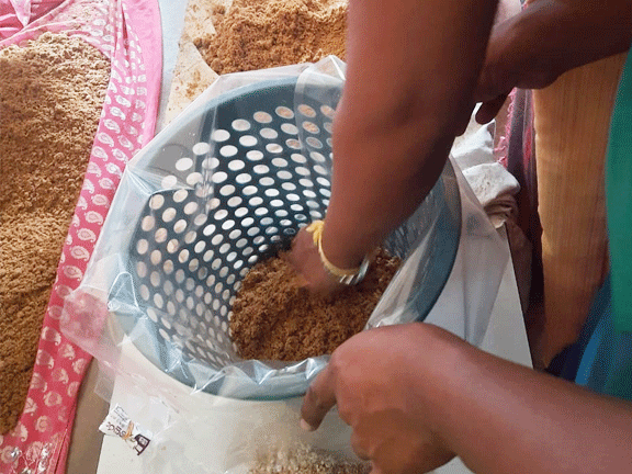 mushroom training program bootawatha school
