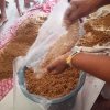mushroom training program bootawatha school