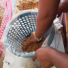 mushroom training program bootawatha school