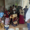 milk production training