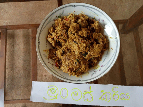 nutrition program bopitiya