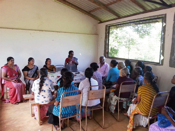 Nutrition Program Narangasthenna