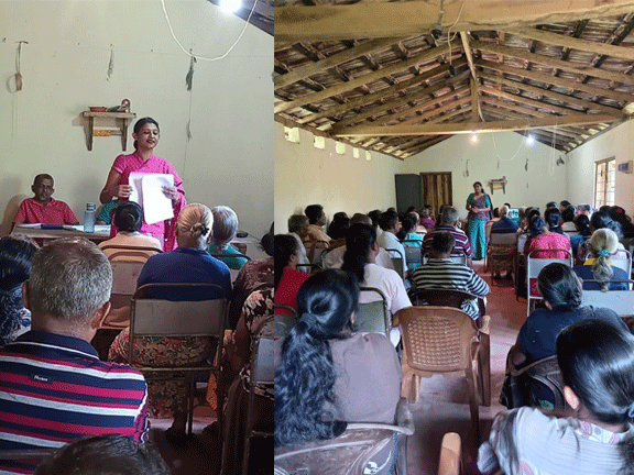 productivity program haputhale
