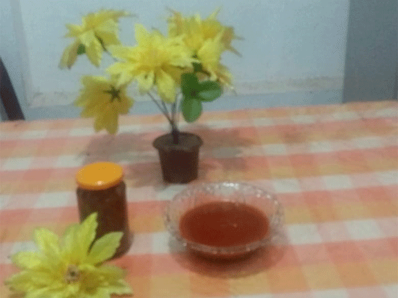 sauce manufacturing program ankelipitiya