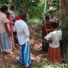 soil and water conservation godamunna west