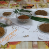 spice training program oluwawatta
