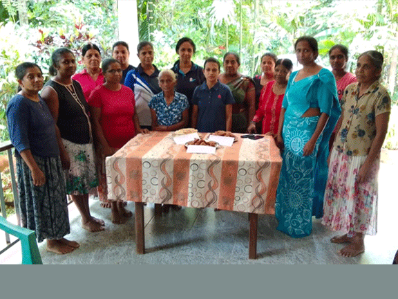 sweet production haputhale egodagama