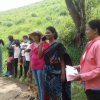 treePlantingProgram