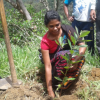 treePlantingProgram