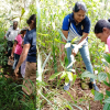 water reserve Ingurugolla