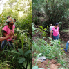 water reserve Ingurugolla